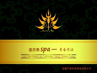荟亦美芳疗精油SPA