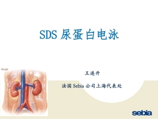SDS尿蛋白及本周氏电泳的意义