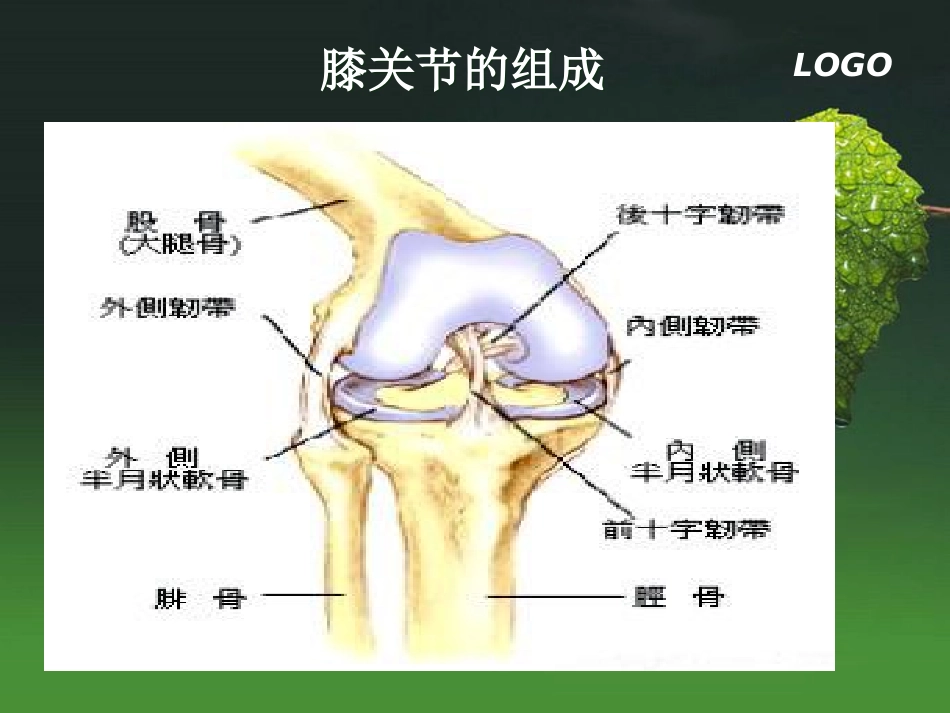 梁静全膝关节置换术后康复描述_第3页