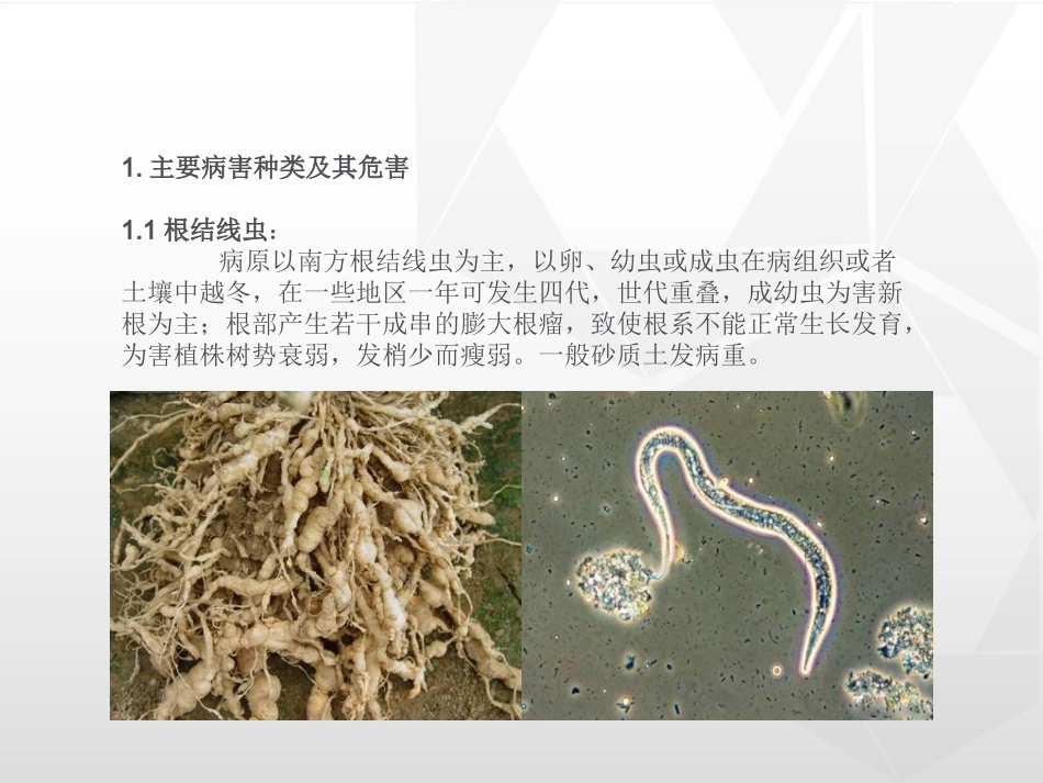 猕猴桃常见病害图文防治详解(基础版)分析_第2页