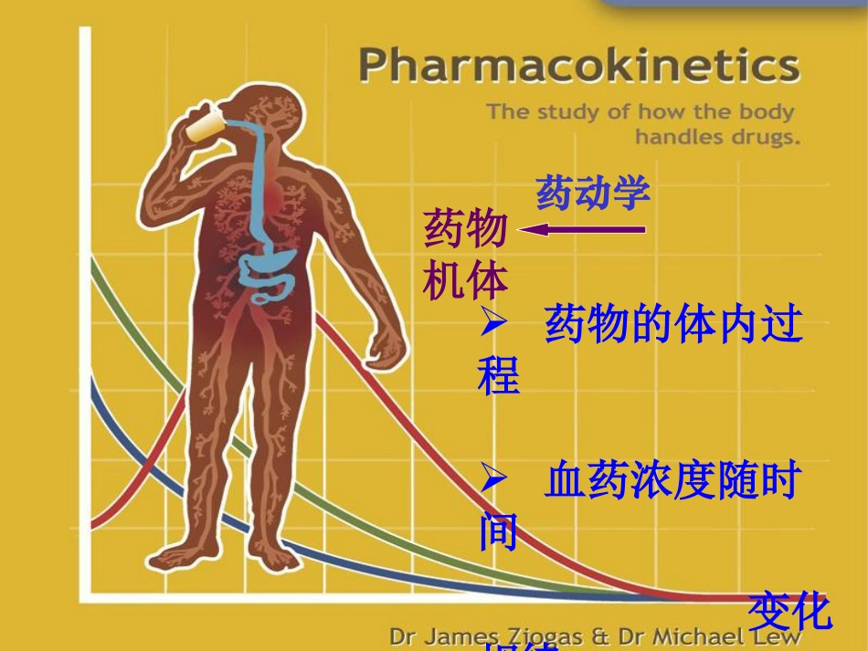 第二章  药动学_第3页