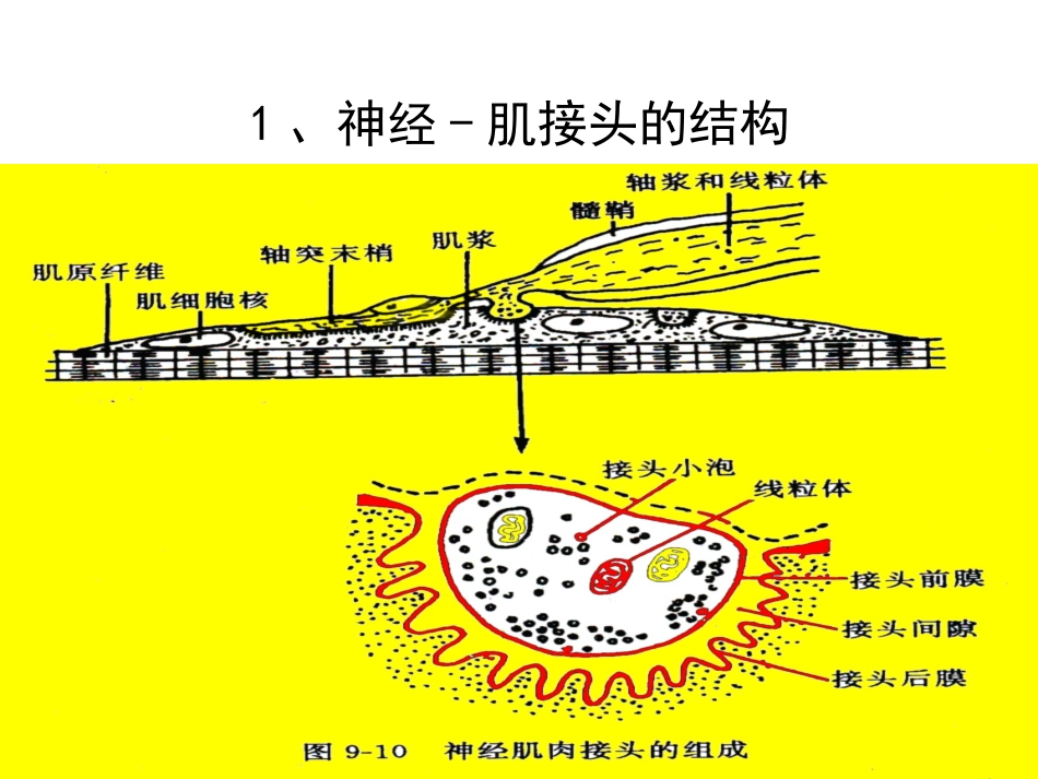 细胞基本功能第二部分_第2页