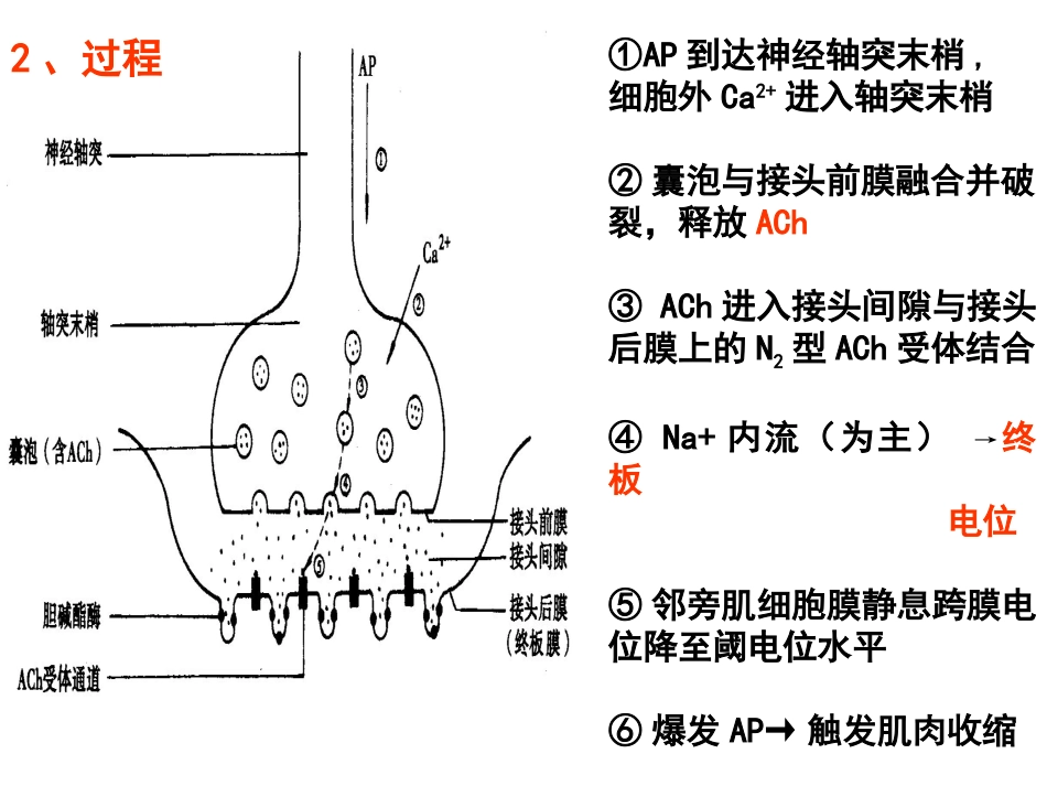 细胞基本功能第二部分_第3页