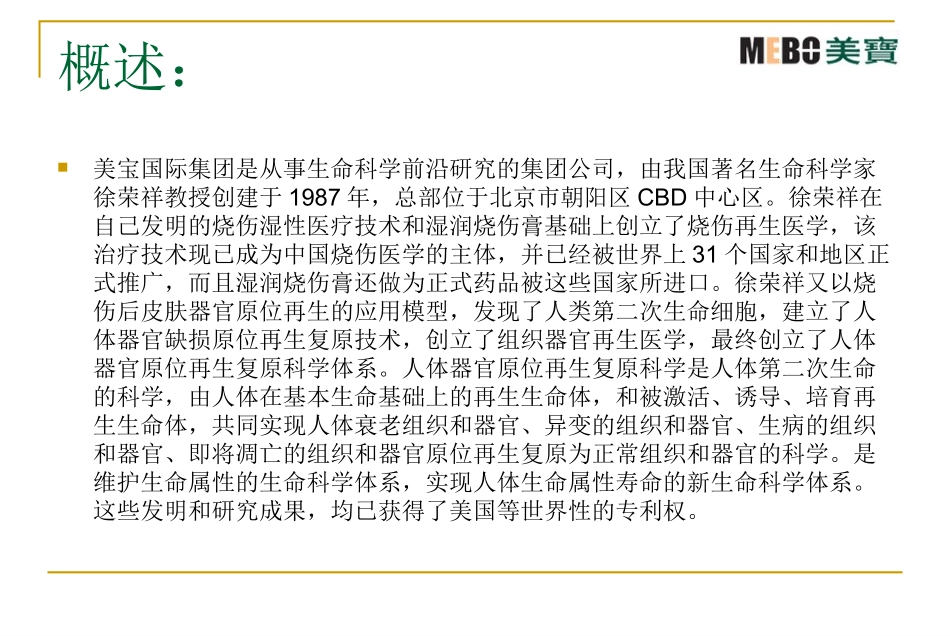 美宝集团介绍_第3页