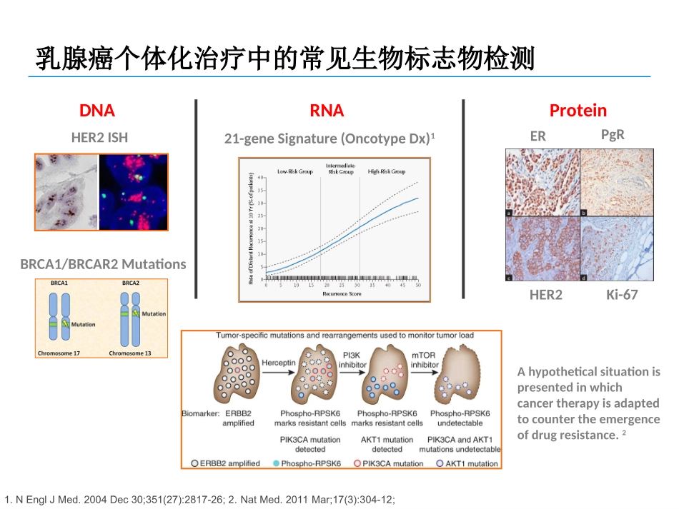 胃癌免疫组化标记物介绍_第3页