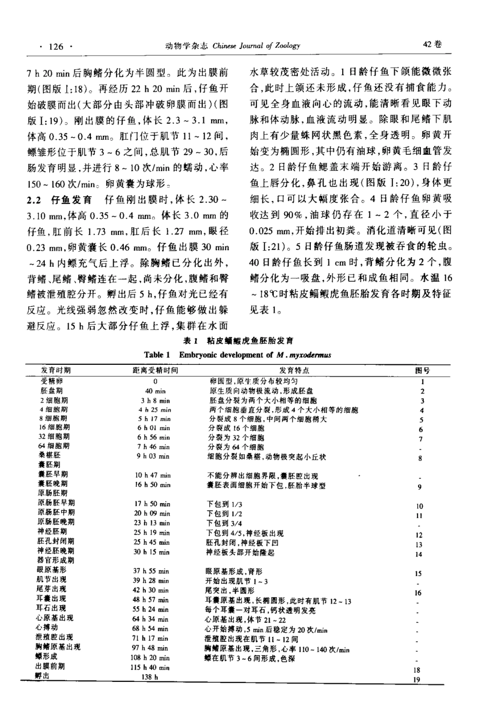 粘皮鲻虎鱼胚胎及仔鱼的发育_第3页
