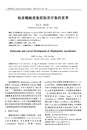 粘皮鲻虎鱼胚胎及仔鱼的发育