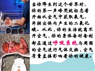 呼吸系统对空气的处理