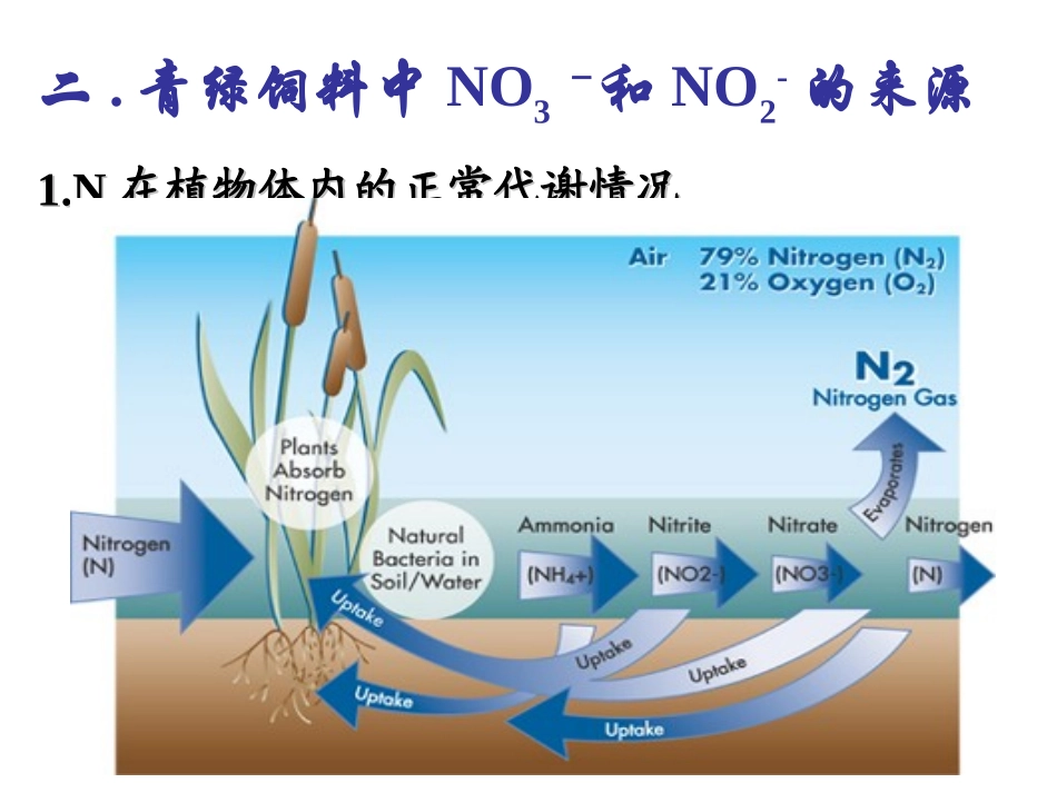 青绿饲料中的有害物质_第3页