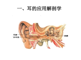 耳的应用解剖_CHN
