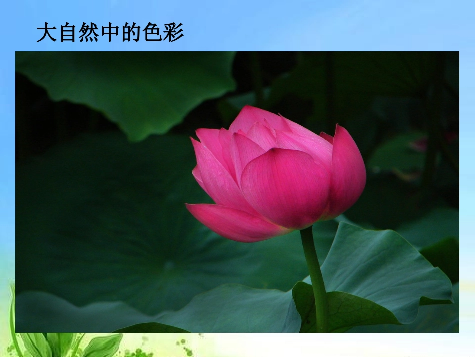 色彩的感染力PPT_第3页