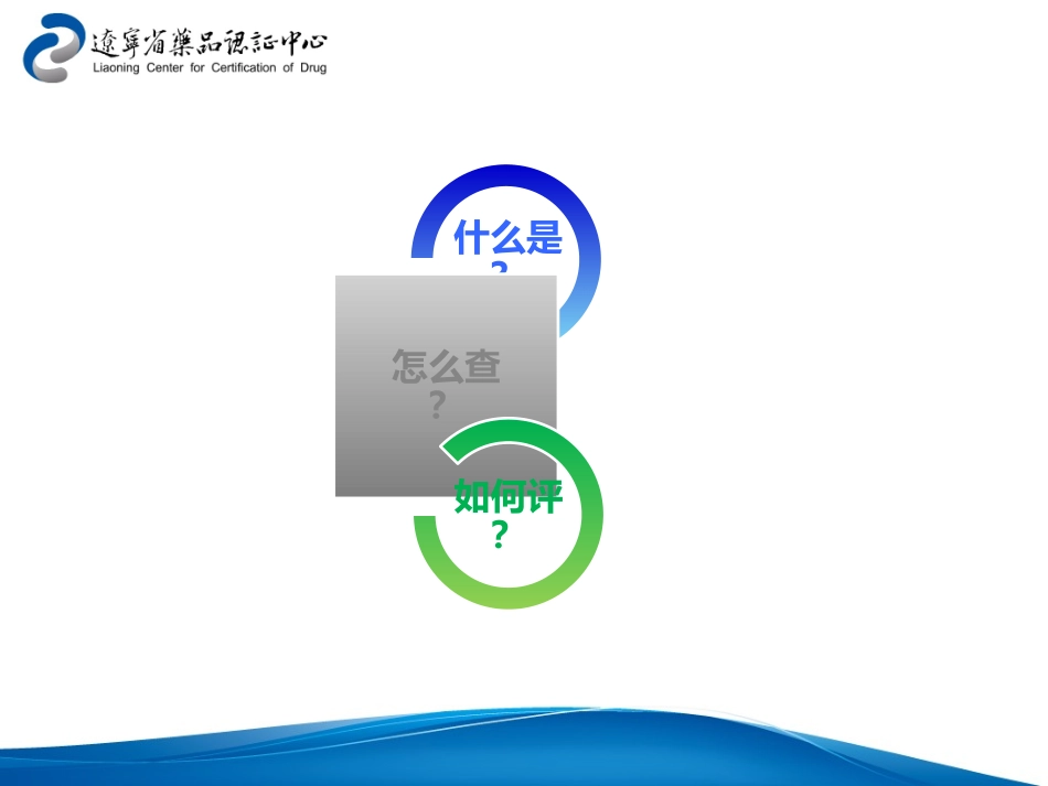 药品质量体系检查及评估基础理论版海南_第2页