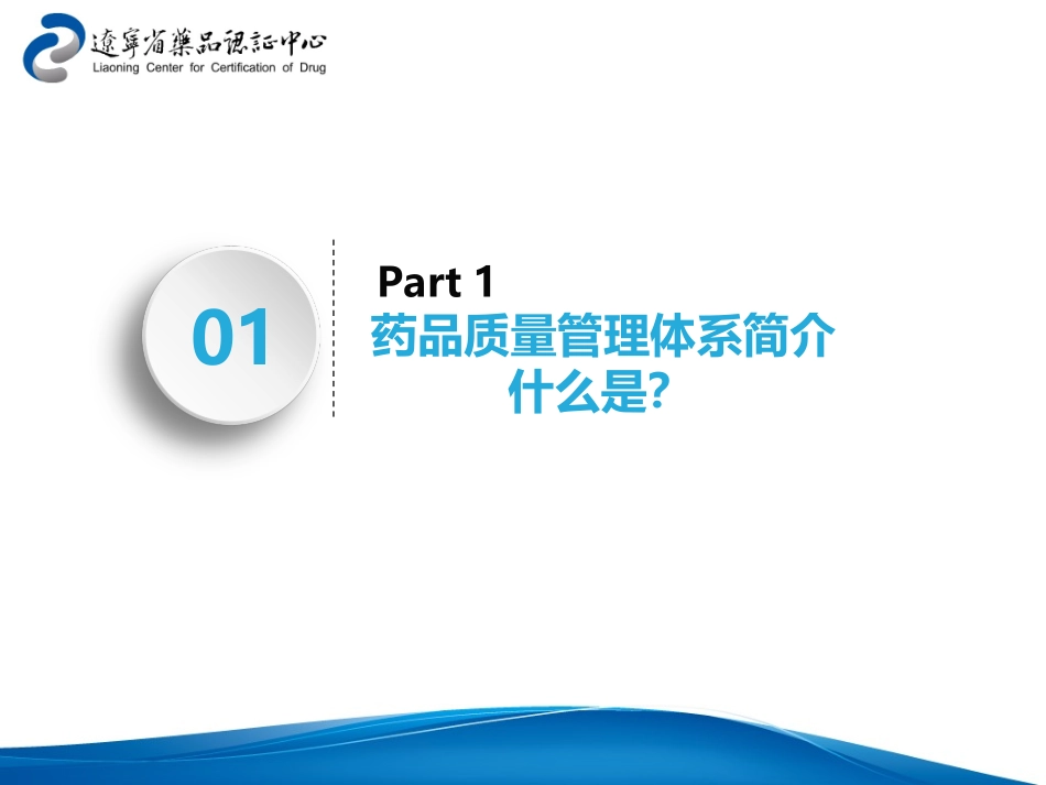 药品质量体系检查及评估基础理论版海南_第3页