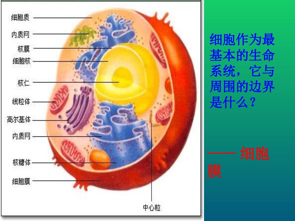 人教版必修一第3章第1节-系统的边界--细胞膜41张ppt---副本_第3页