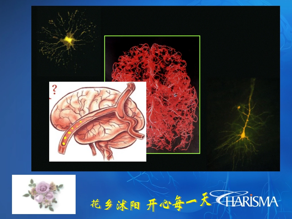 卒中中心建设与静脉-动脉桥接溶栓_第2页