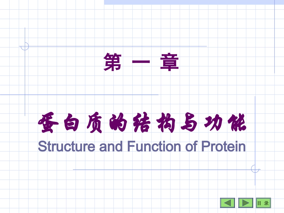 第01章蛋白质_第1页