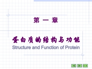 第01章蛋白质
