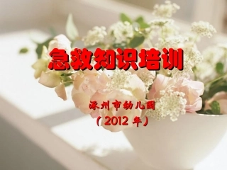 急救指南201205