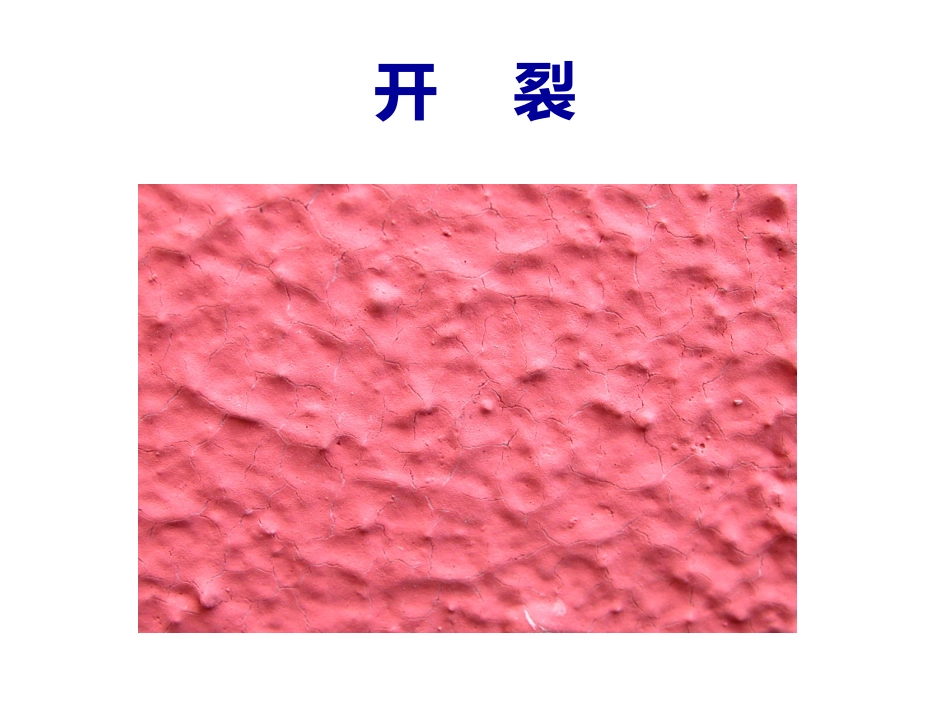 油漆病态分析_第2页