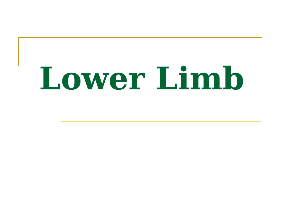 The_lower_limb(new)_第1页