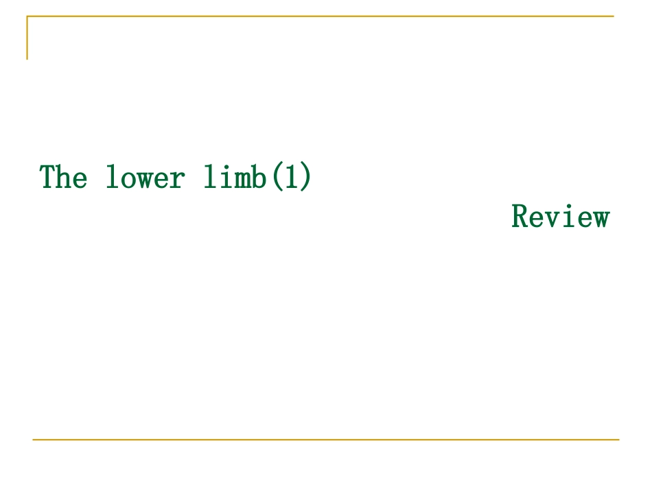 The_lower_limb(new)_第2页