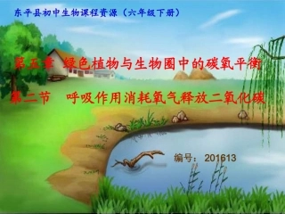 呼吸作用消耗氧气释放二氧化碳定稿