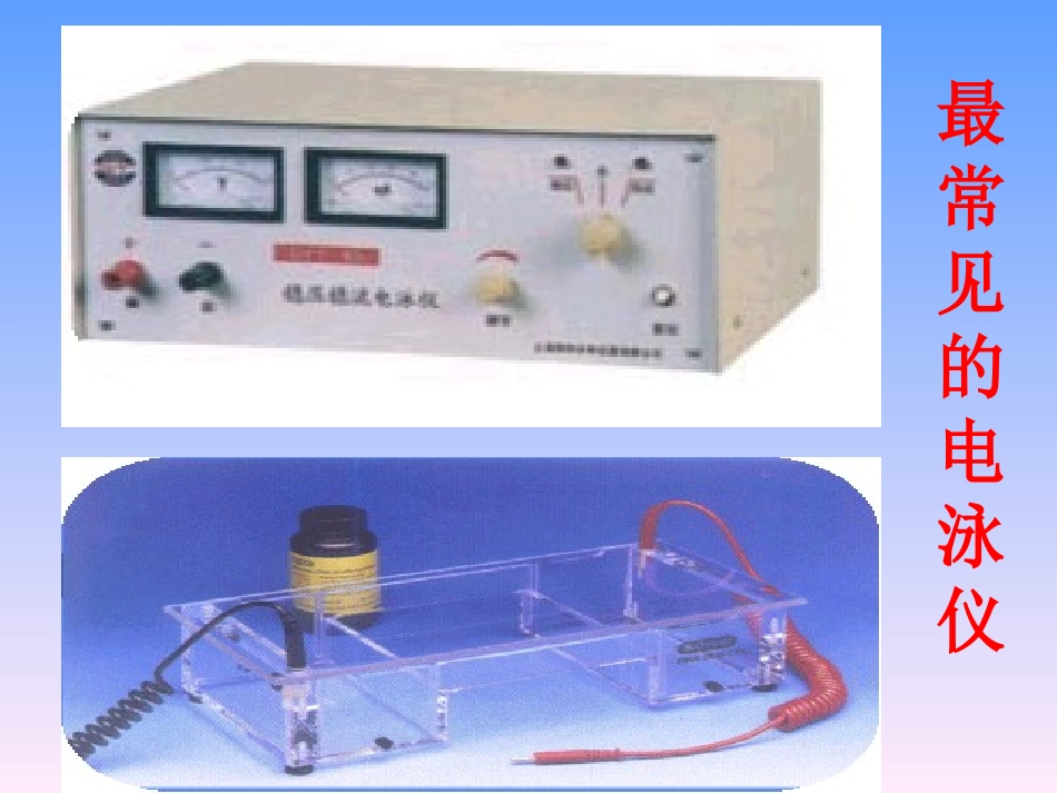第十六章 临床电泳分析仪器2012_第2页