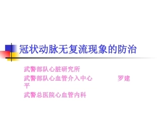冠状动脉无复流现象的防治