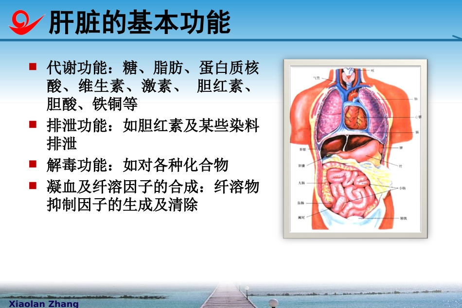 张晓岚如何解读肝功能化验单--2013-9-7end_第2页
