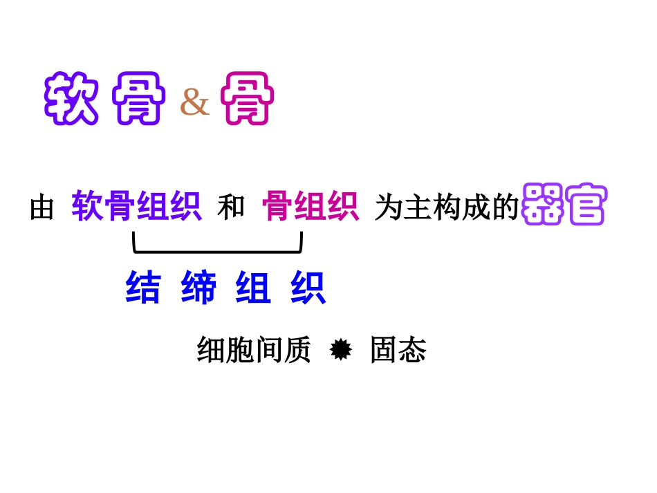 软骨和骨-cartilage-and-bone-刘丽芸_第2页