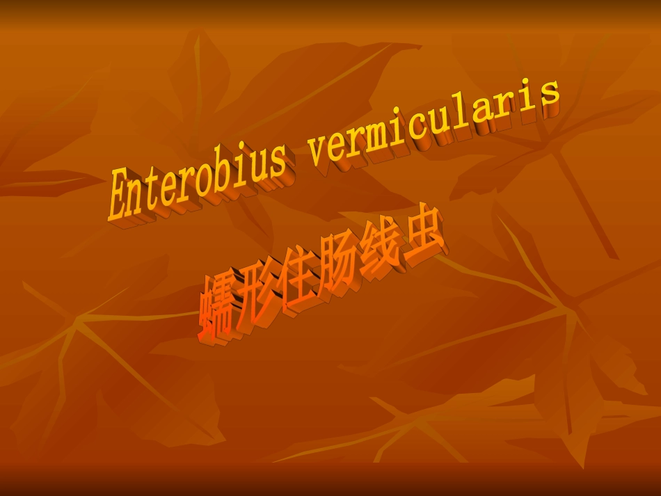 蛲虫、钩虫、_第1页