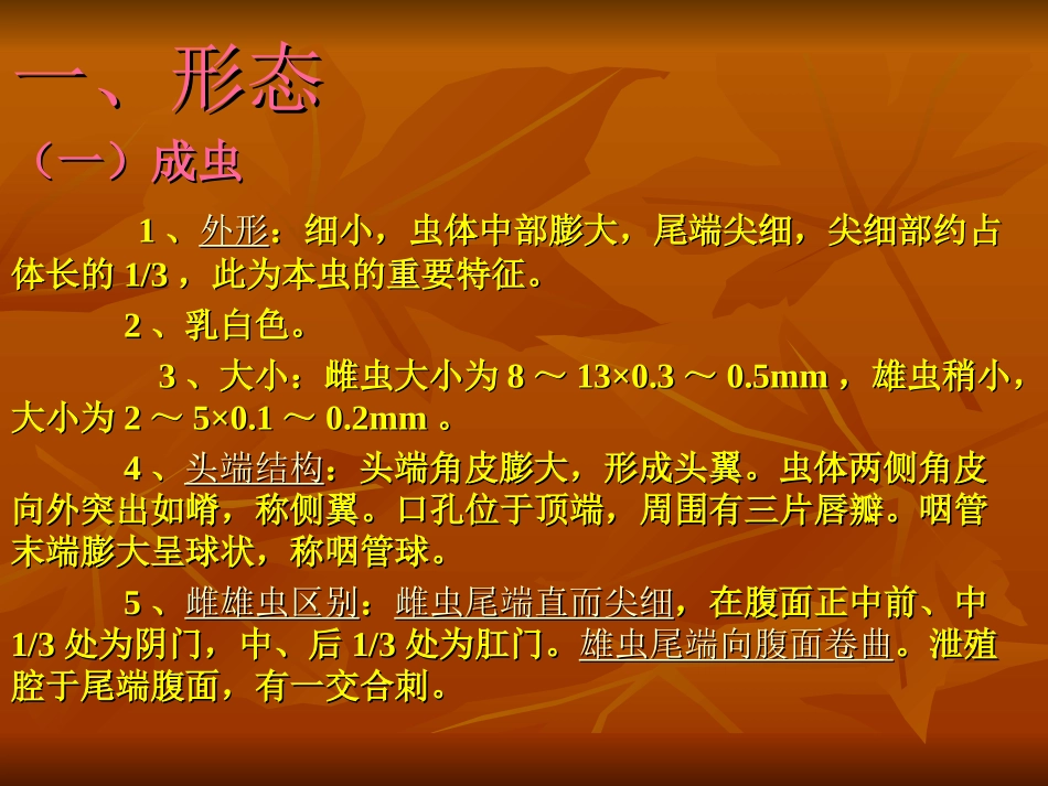 蛲虫、钩虫、_第3页