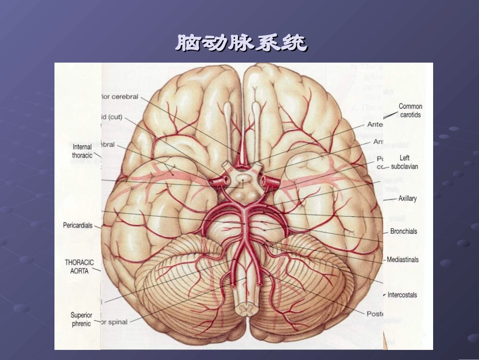 颈动脉狭窄的诊断、支架治疗的病例选择、围手术用药[1]_第2页