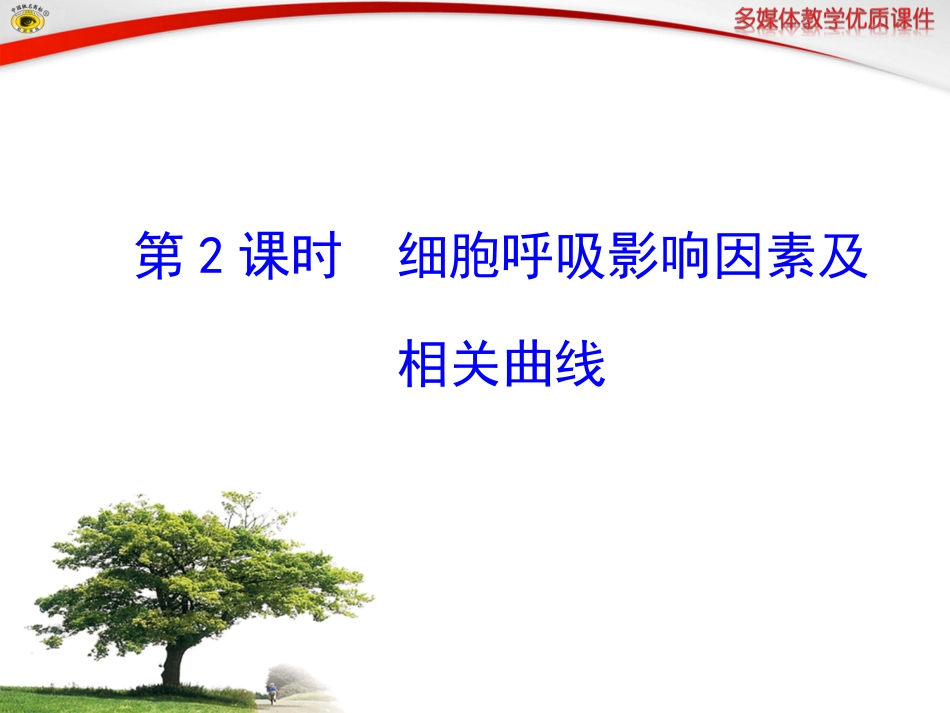 第2课时 细胞呼吸影响因素及相关曲线_第1页