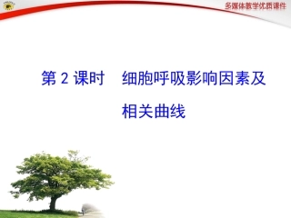 第2课时 细胞呼吸影响因素及相关曲线