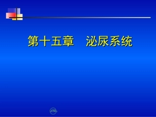 第十五章 泌尿系统