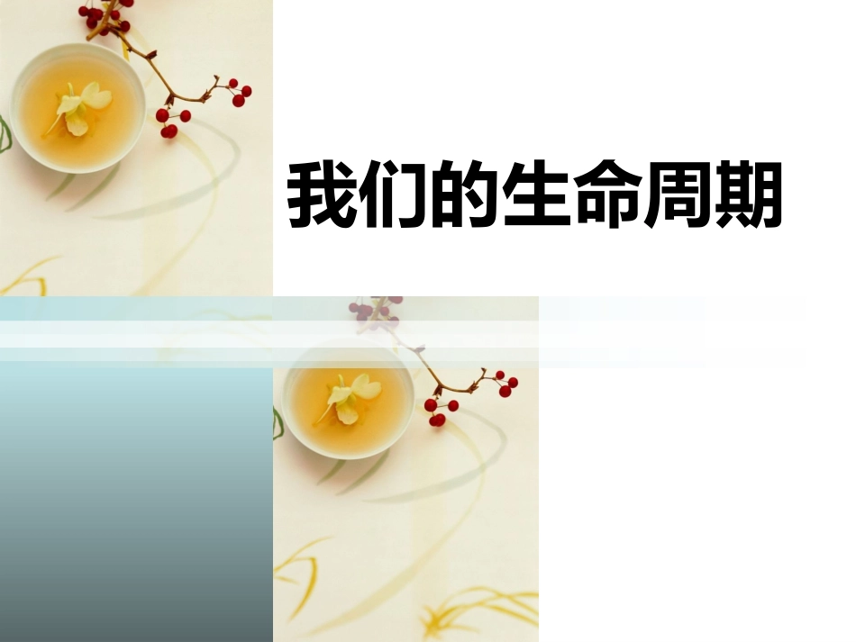 我们的生命周期_第1页