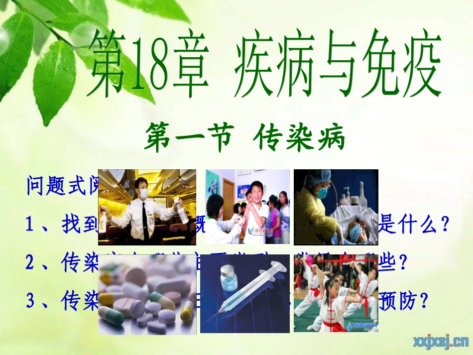 苏教版 生物八年级 《传染病》公开课_第2页