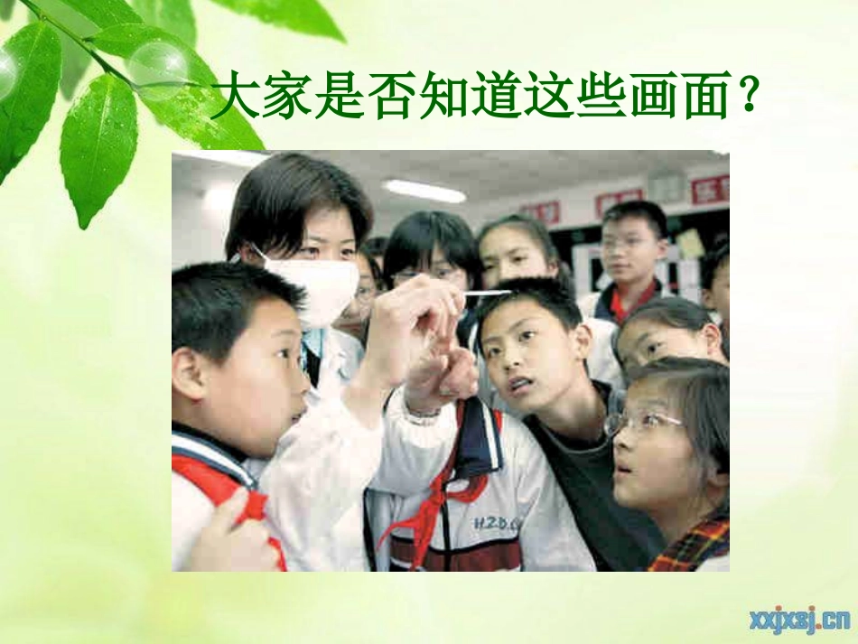 苏教版 生物八年级 《传染病》公开课_第3页