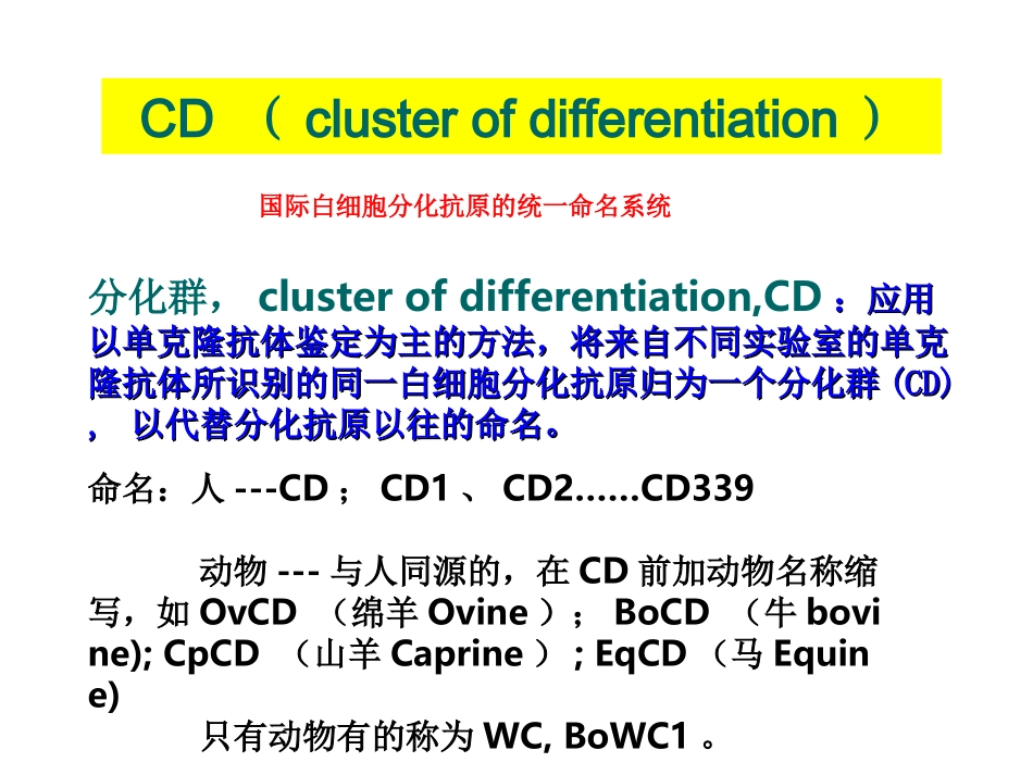 Lecture8-白细胞分化抗原和黏附分子_第3页
