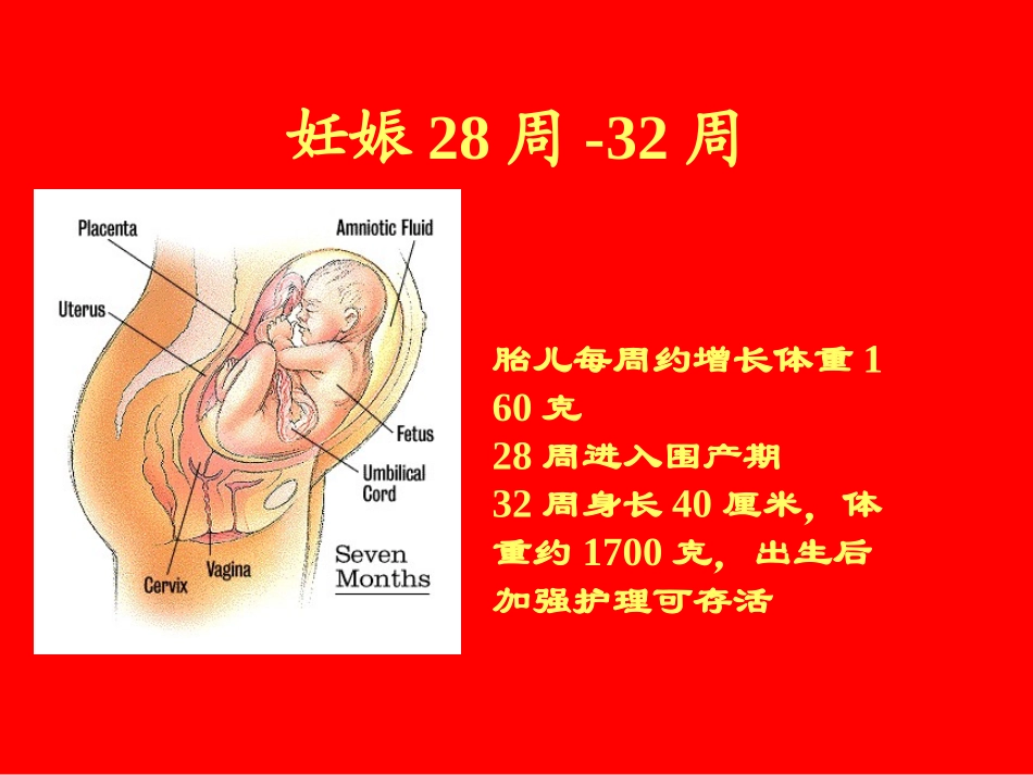 孕妇学校第三讲_第3页