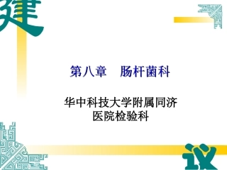 肠杆菌科细菌3