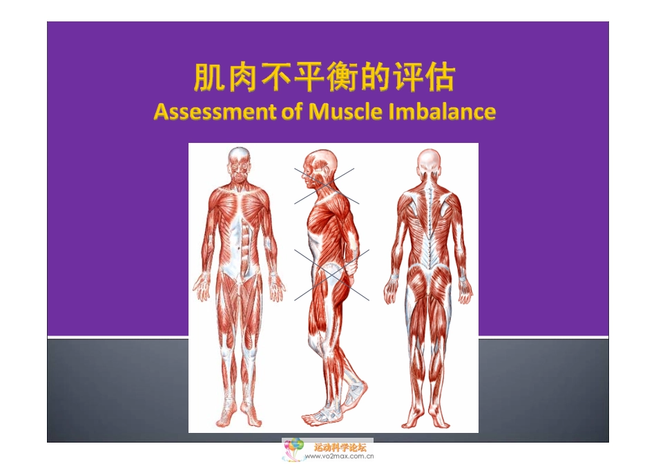 肌肉不平衡的评估与治疗：JANDA方法_第3页