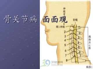 浅论骨关节病面面观
