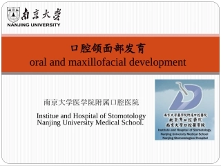 口腔颌面部发育