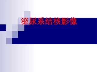 泌尿系结核典型病例影像资料
