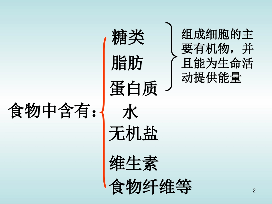 初三上科学第四章复习_第2页