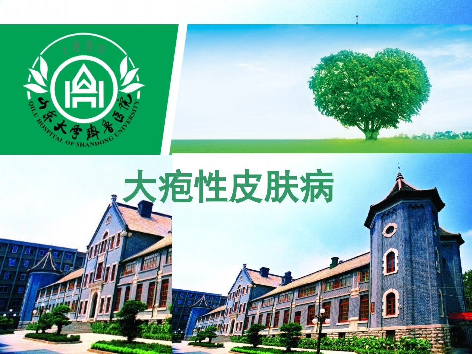 大疱性皮肤病1_第1页