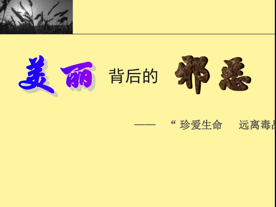 珍爱生命-远离毒品-ppt_第3页
