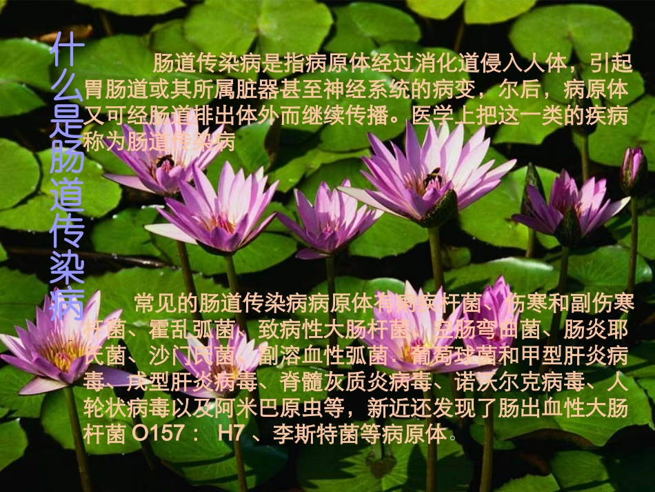 夏季肠道传染病的防治._第2页